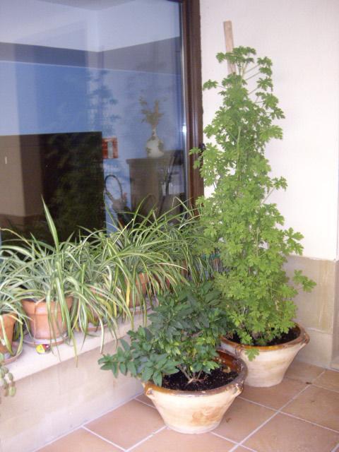 Casa Rural Rojanda Elciego Esterno foto